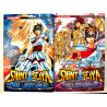 Manga Saint seiya the lost canvas volume 1