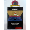 Prince of persia pour Super nes