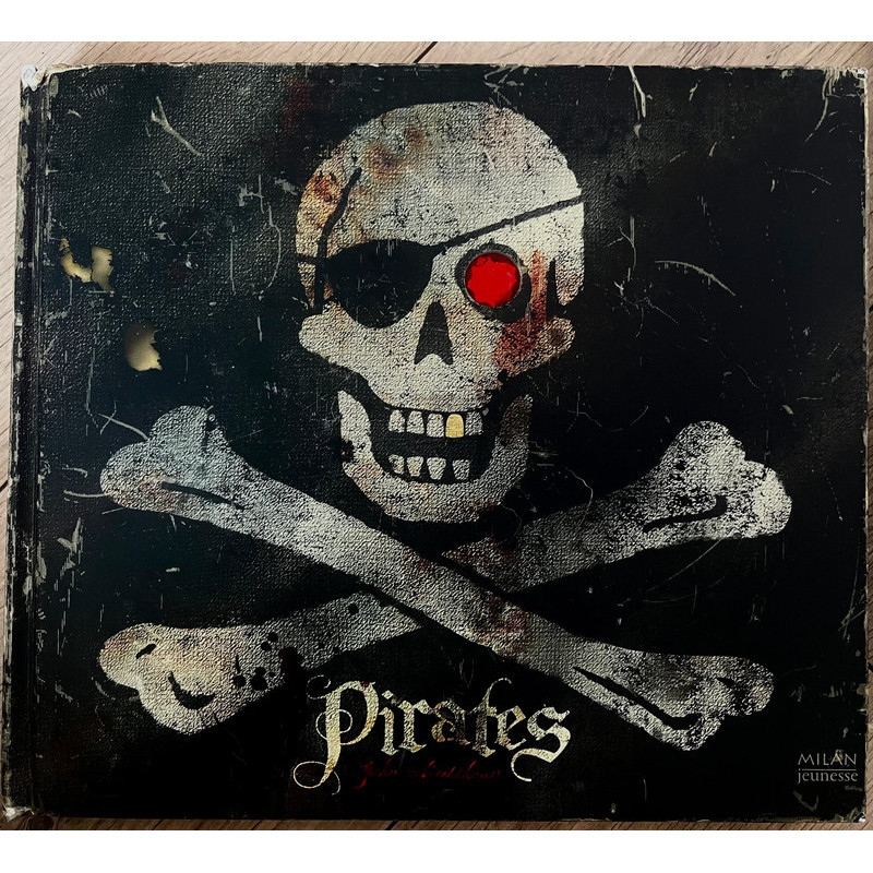 Livre Pirates de John Mattews