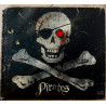 Livre Pirates de John Mattews